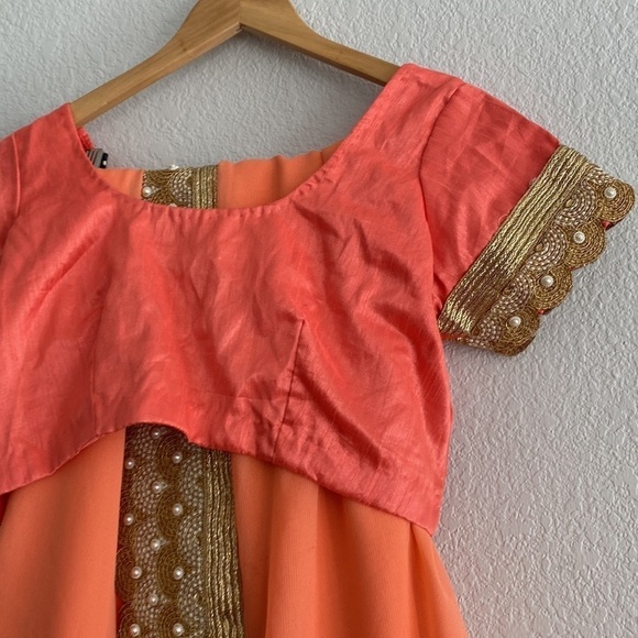 Pakistani Indian Saree - Picture 4 of 5